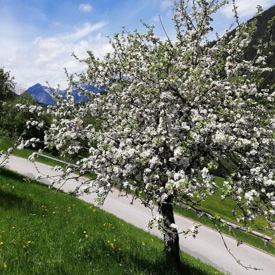 Appartements Kolberhof Alpbach Luaran gambar