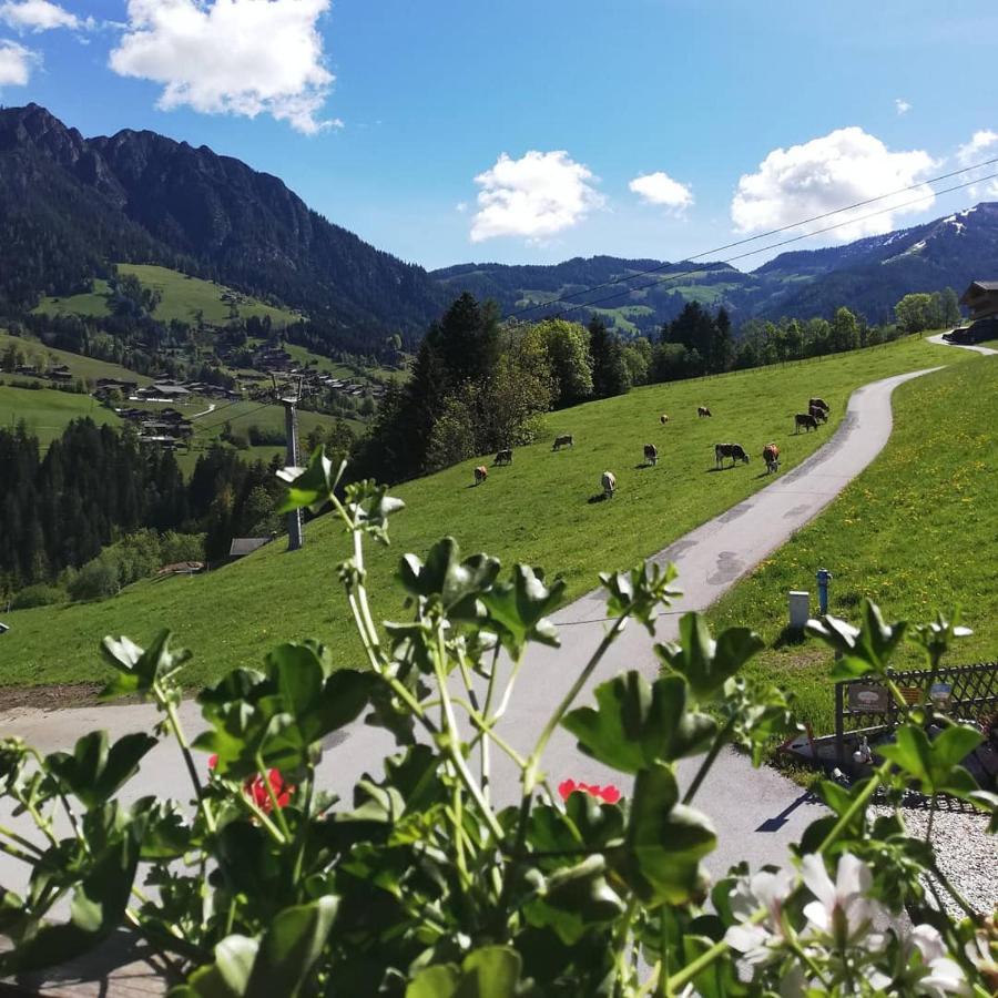Appartements Kolberhof Alpbach Luaran gambar