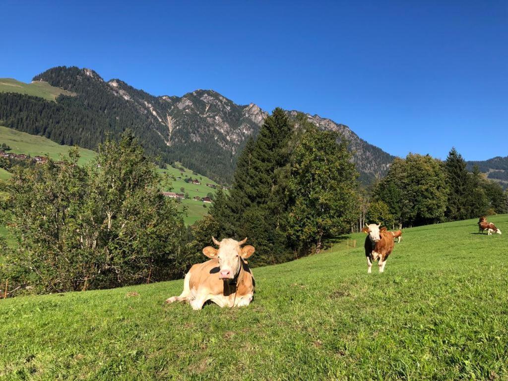 Appartements Kolberhof Alpbach Luaran gambar