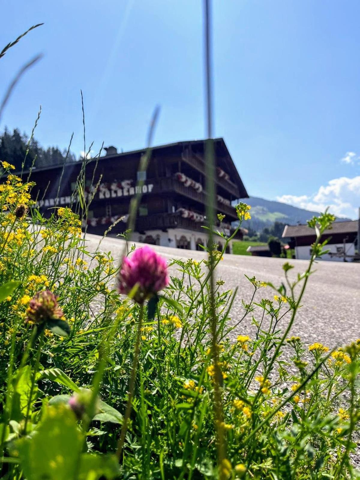Appartements Kolberhof Alpbach Luaran gambar